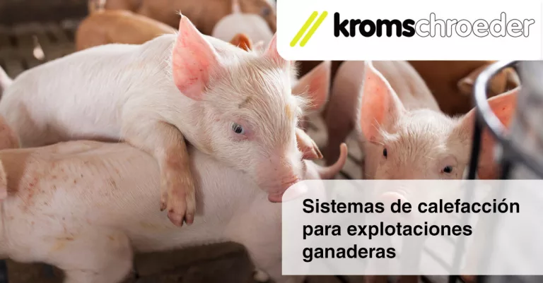 Imagen de cerdos en una granaja