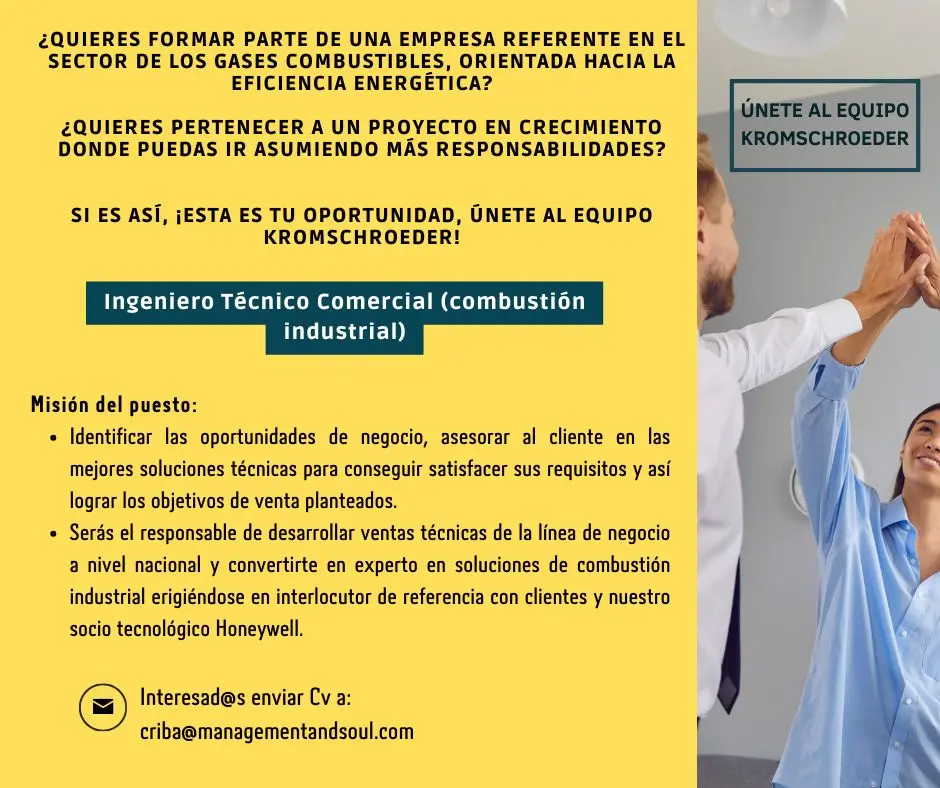 Descirpción de la vacante